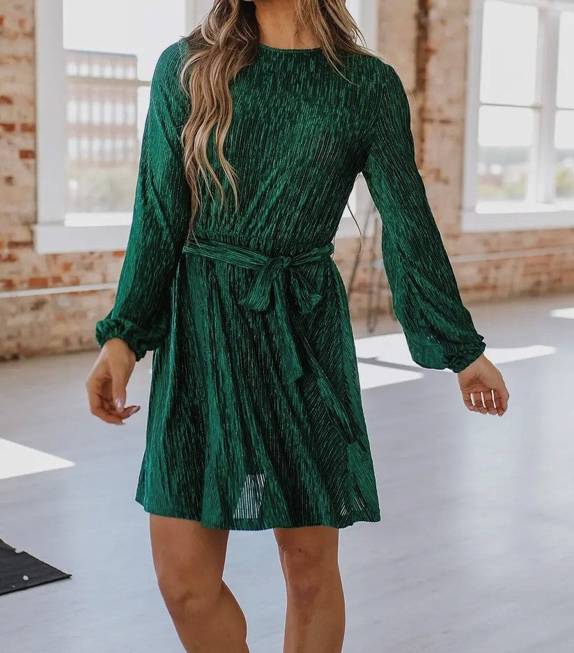 Meri Crinkle Velvet Dress in Green