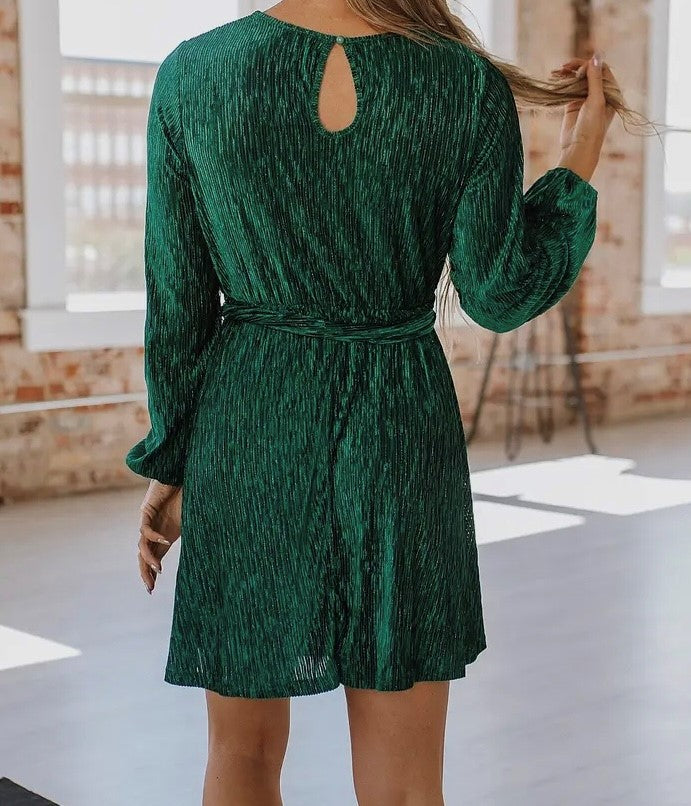 Meri Crinkle Velvet Dress in Green